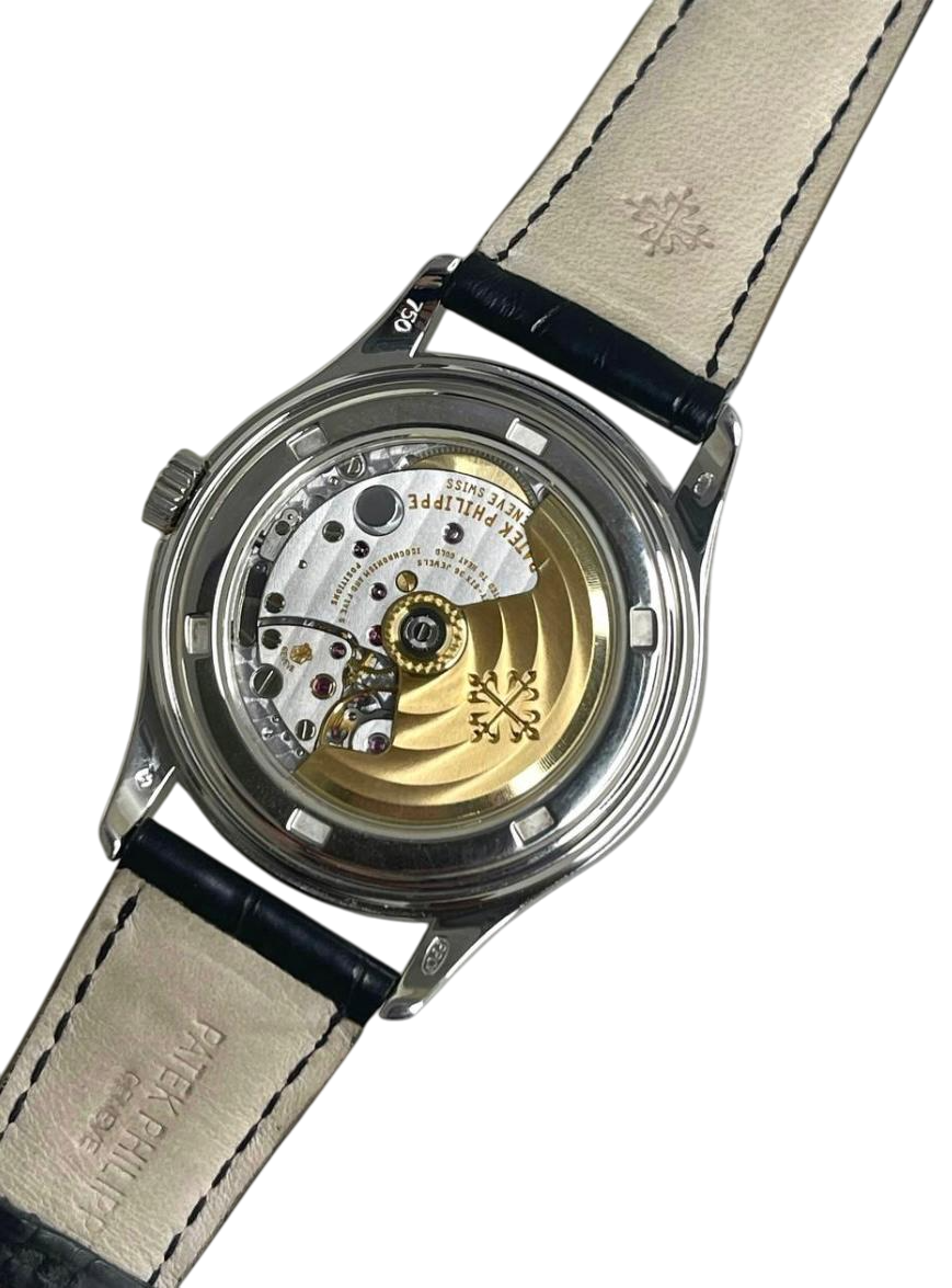 Patek Philippe Complications World Time 18K Yellow Gold Men's Watch