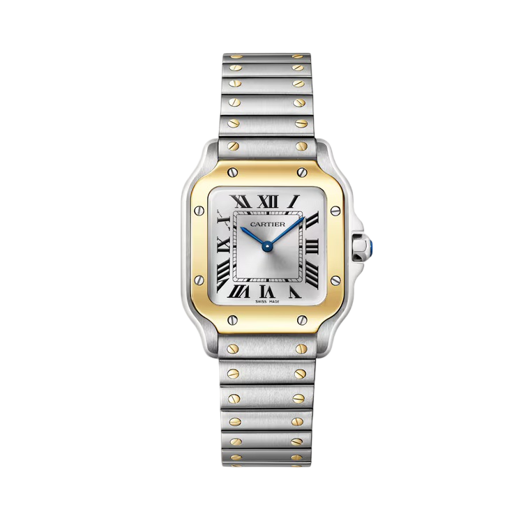 Cartier Santos de Cartier Stainless Steel & 18K Yellow Gold Unisex Watch