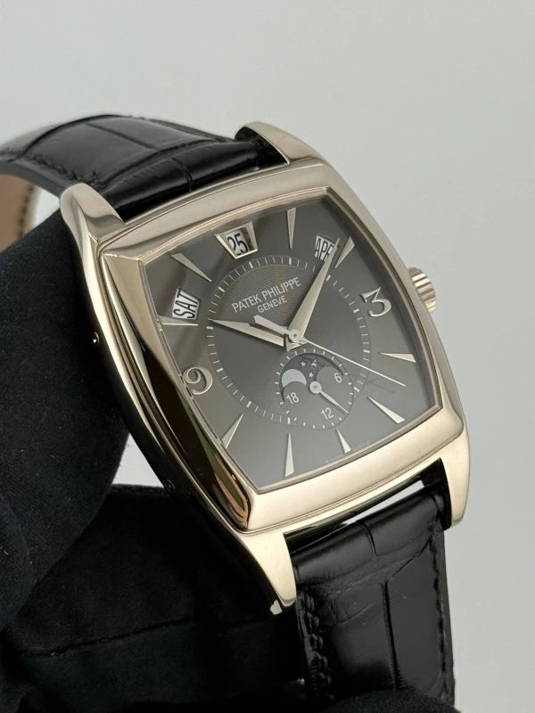 Patek Philippe Complicated 18k White Gold Men's Watch
