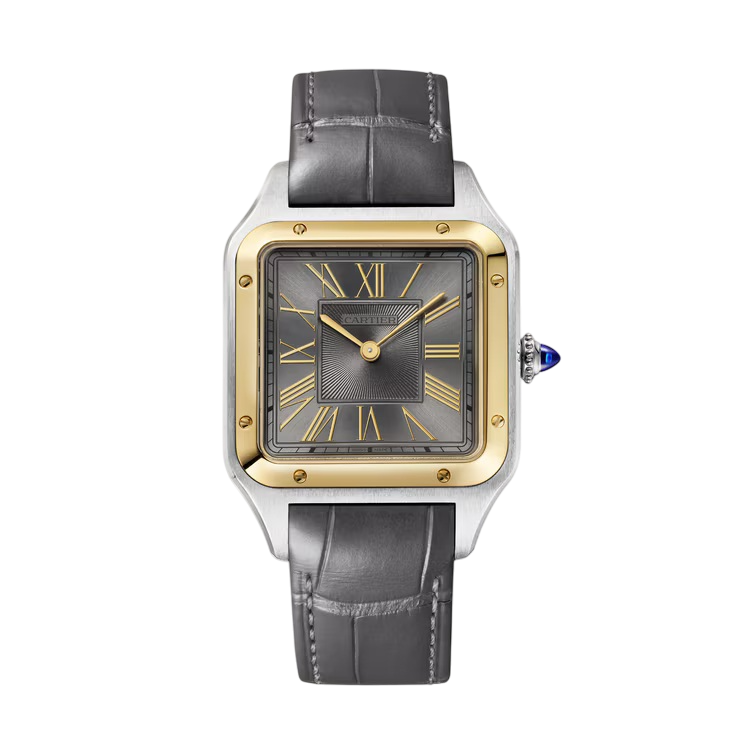 Cartier Santos-Dumont Stainless Steel & 18K Yellow Gold Men's Watch