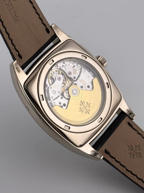 Patek Philippe Complicated 18k White Gold Men's Watch