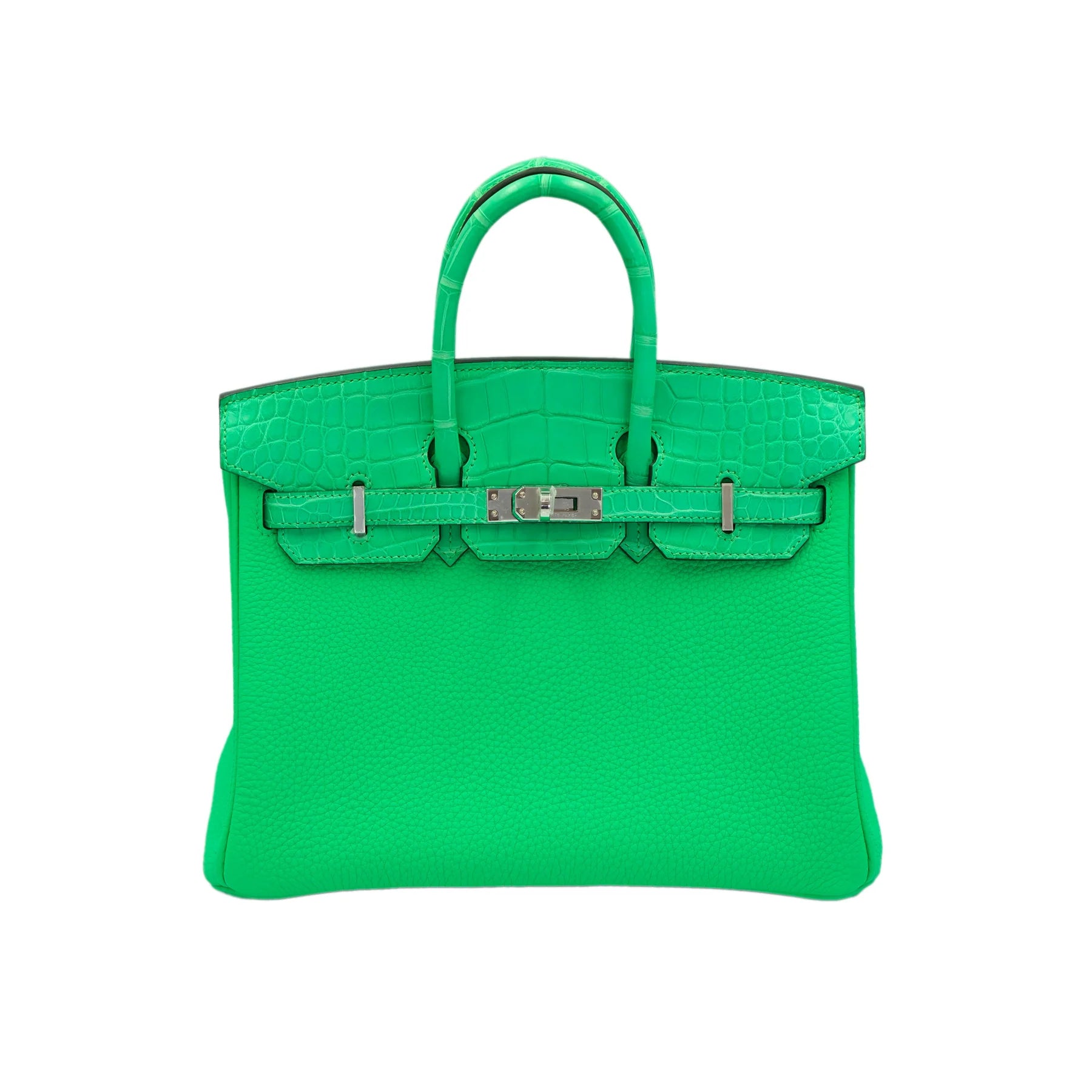 Hermes Birkin 25 Vert Comics Togo and Matte Alligator Touch with Palladium Hardware Bag