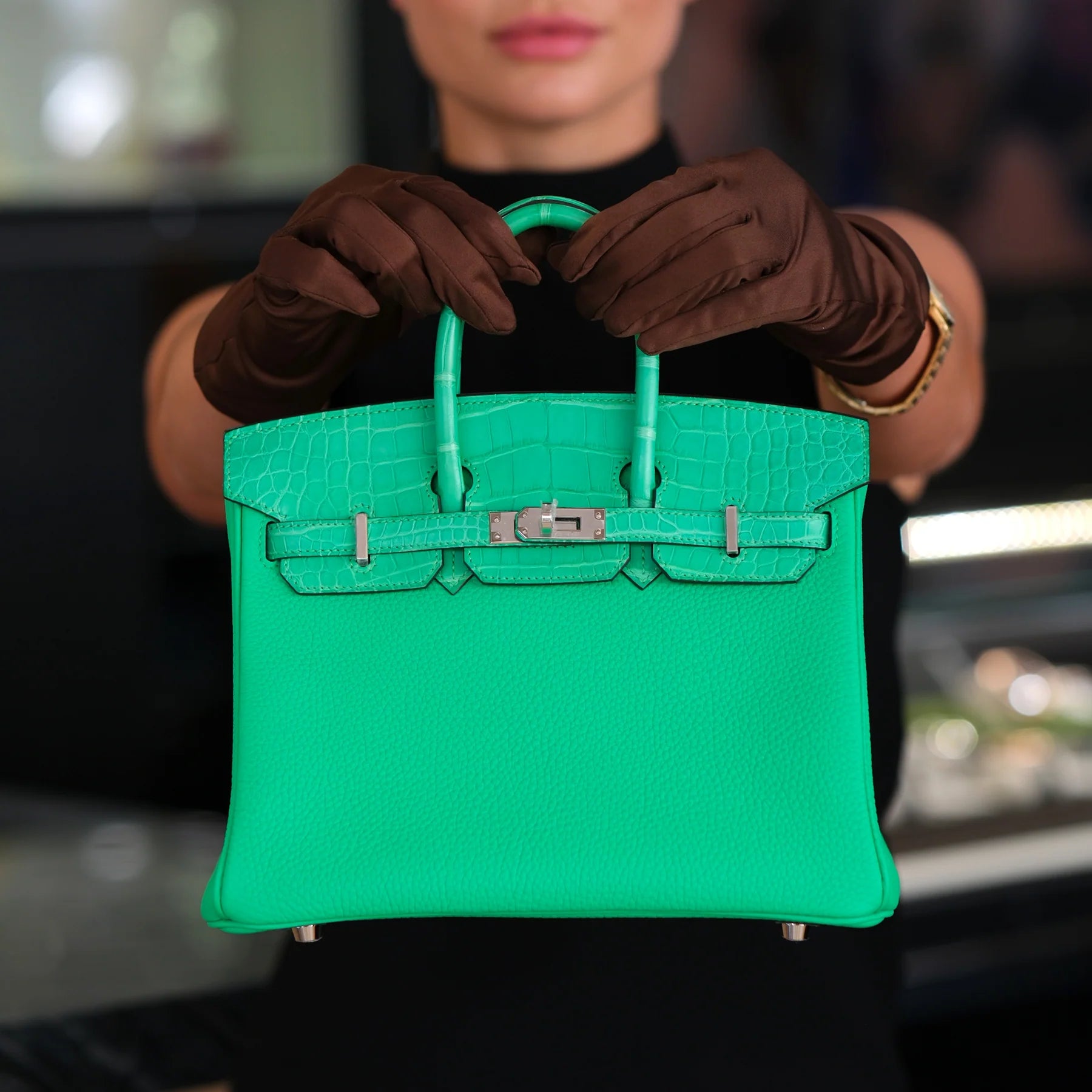 Hermes Birkin 25 Vert Comics Togo and Matte Alligator Touch with Palladium Hardware Bag