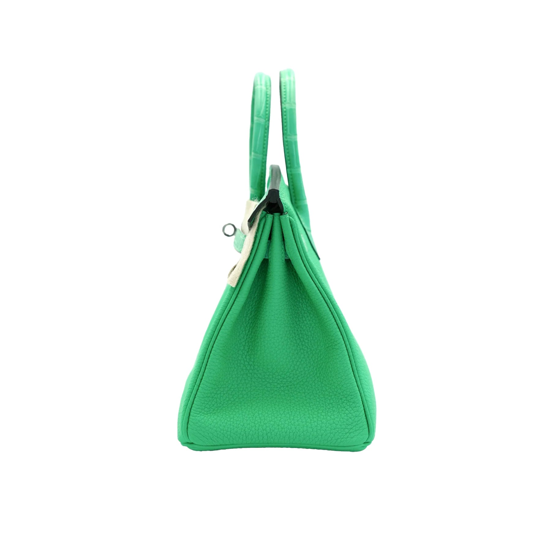 Hermes Birkin 25 Vert Comics Togo and Matte Alligator Touch with Palladium Hardware Bag