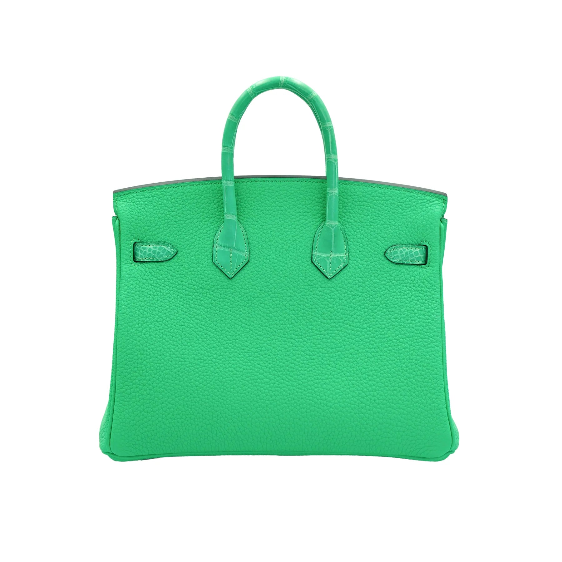 Hermes Birkin 25 Vert Comics Togo and Matte Alligator Touch with Palladium Hardware Bag
