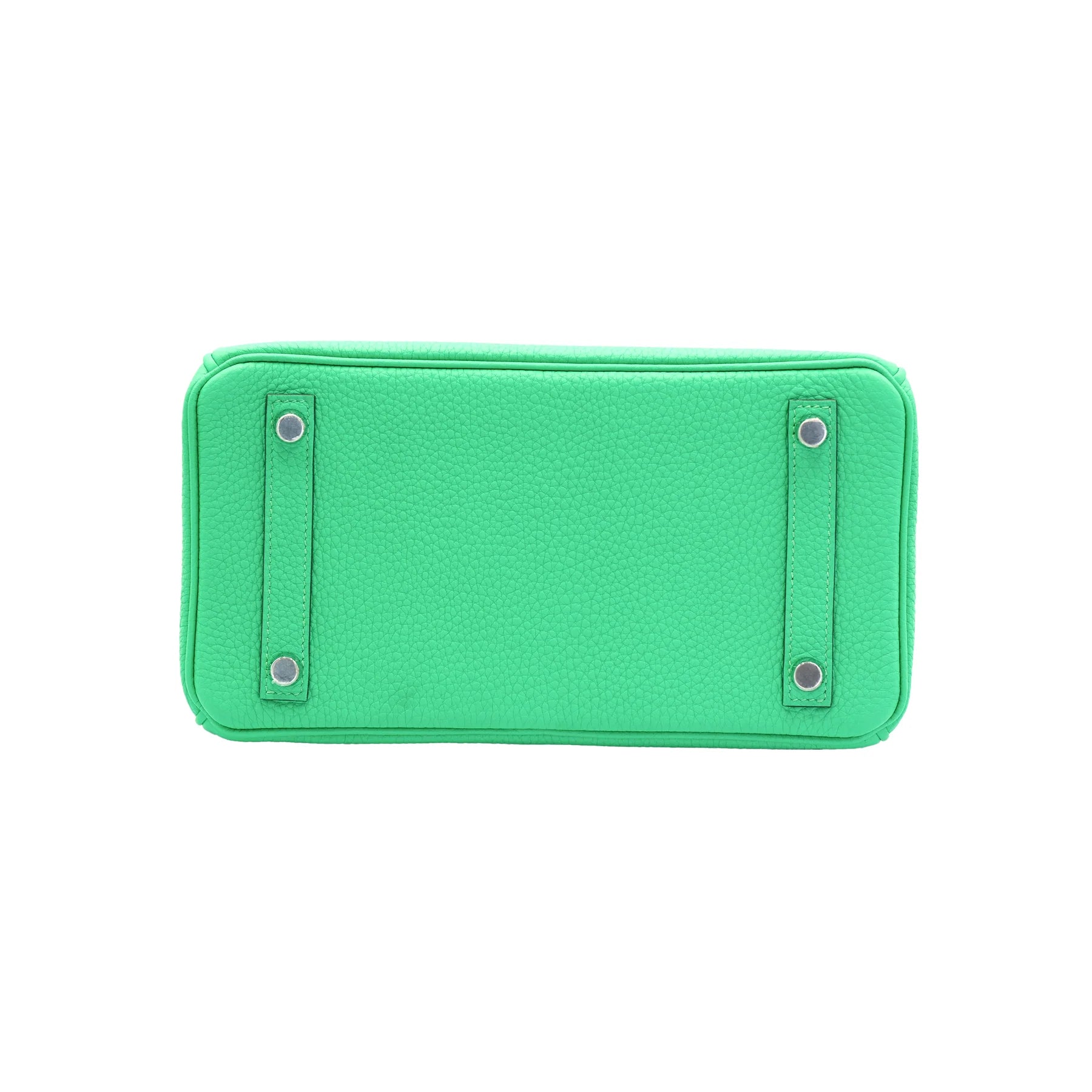 Hermes Birkin 25 Vert Comics Togo and Matte Alligator Touch with Palladium Hardware Bag