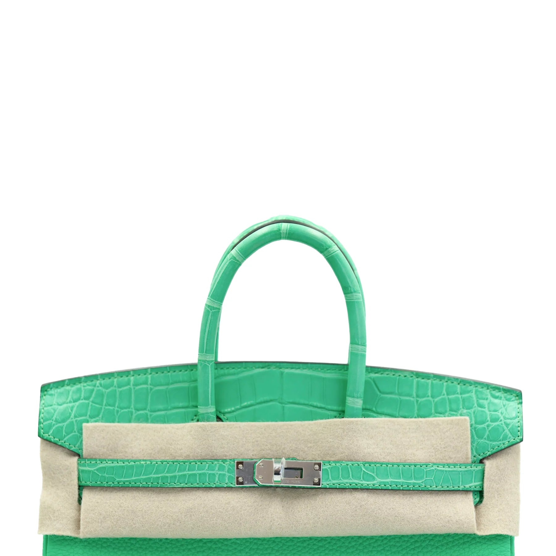 Hermes Birkin 25 Vert Comics Togo and Matte Alligator Touch with Palladium Hardware Bag