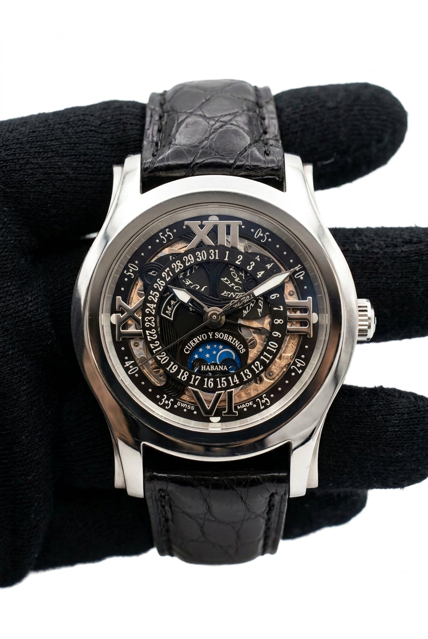Cuervo y Sobrinos Robusto Stainless Steel Men's Watch