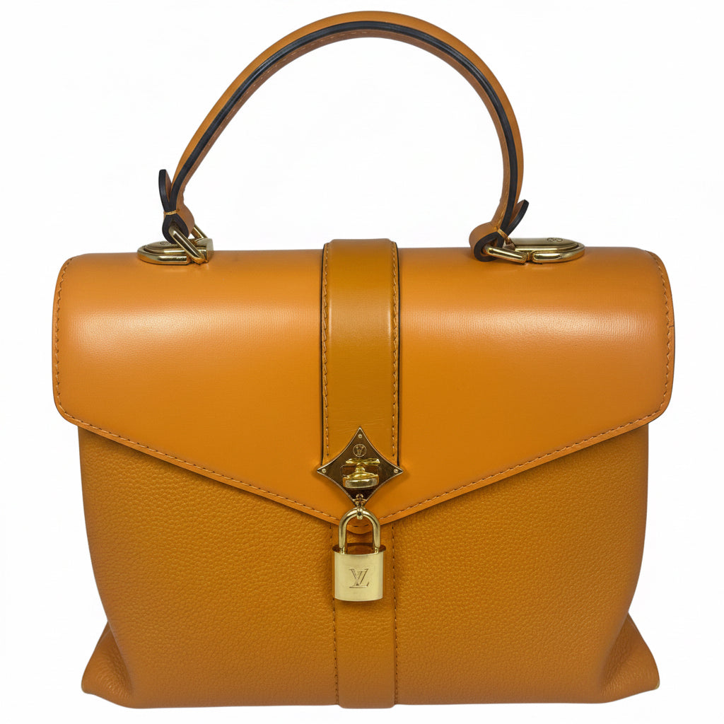 Louis Vuitton Rose des Vents Ladies Handbag