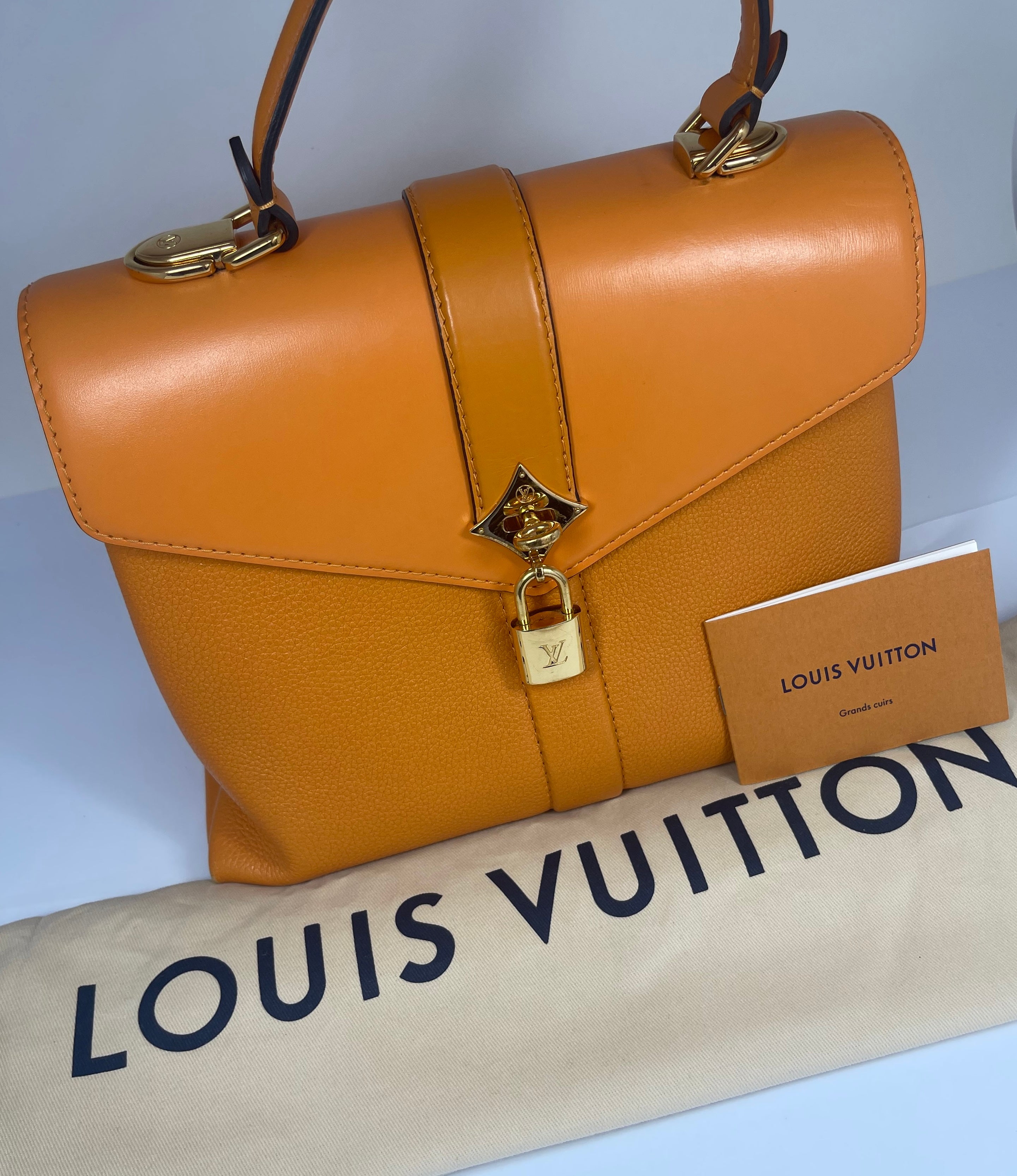Louis Vuitton Rose des Vents Ladies Handbag