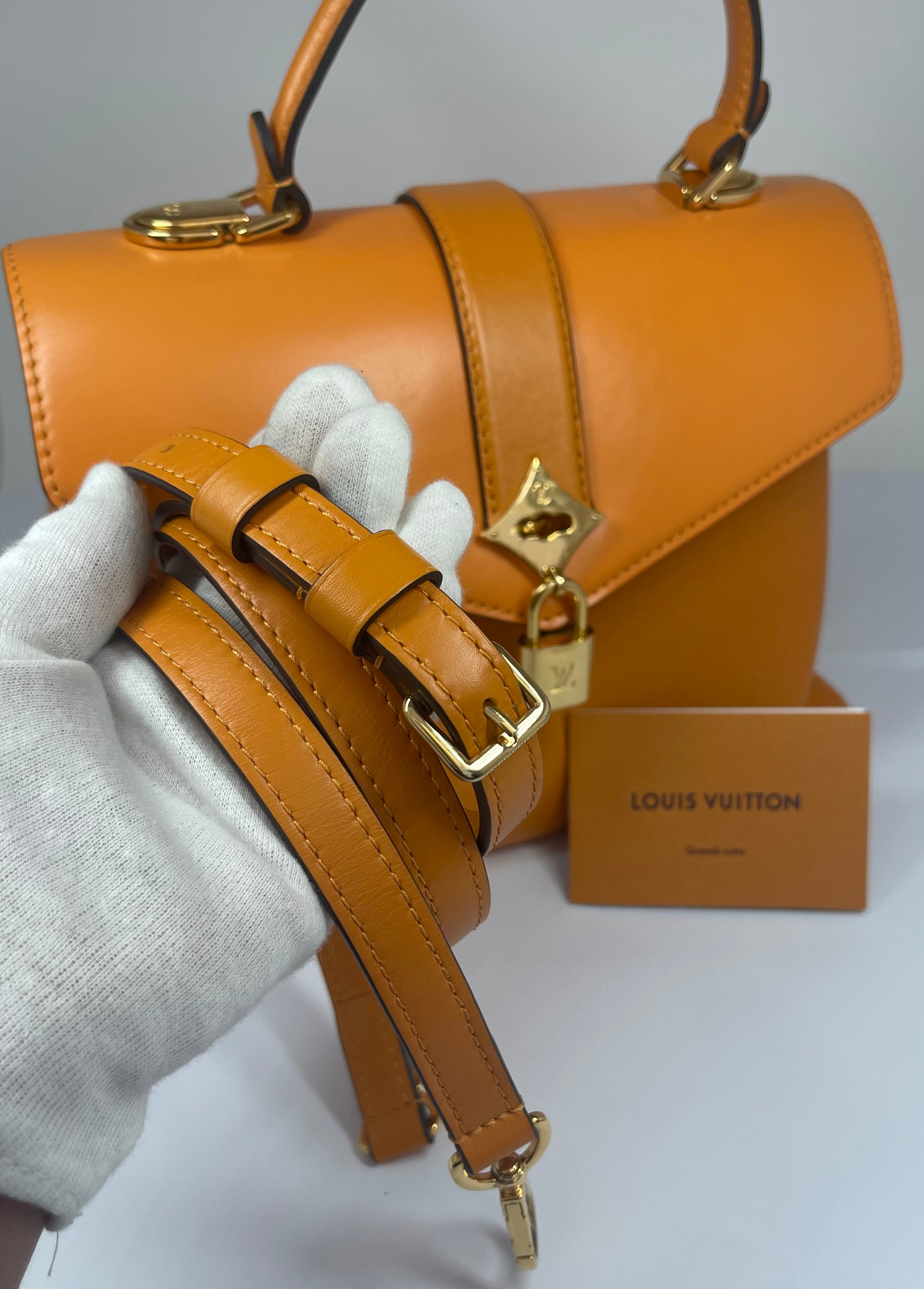 Louis Vuitton Rose des Vents Ladies Handbag