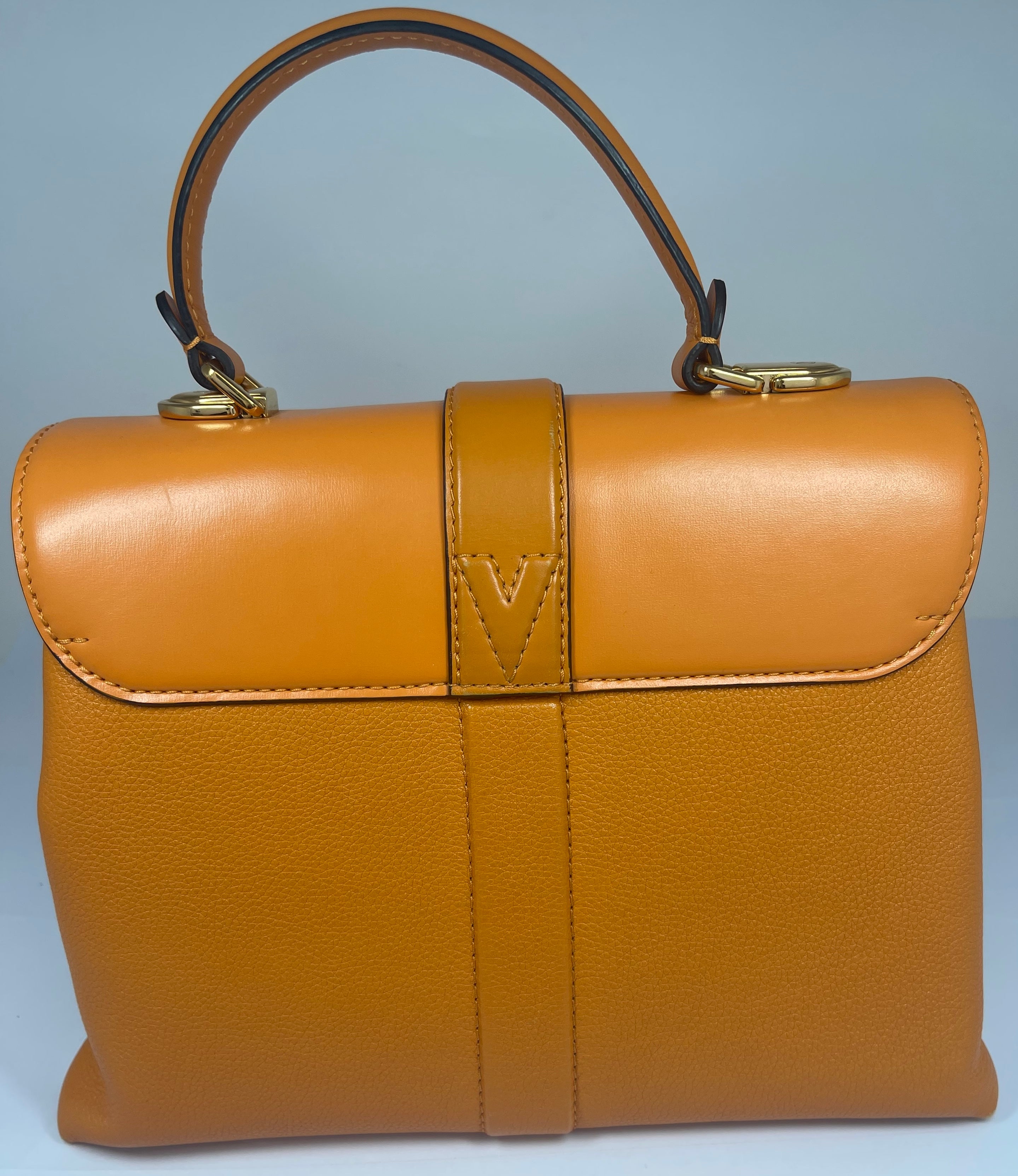 Louis Vuitton Rose des Vents Ladies Handbag