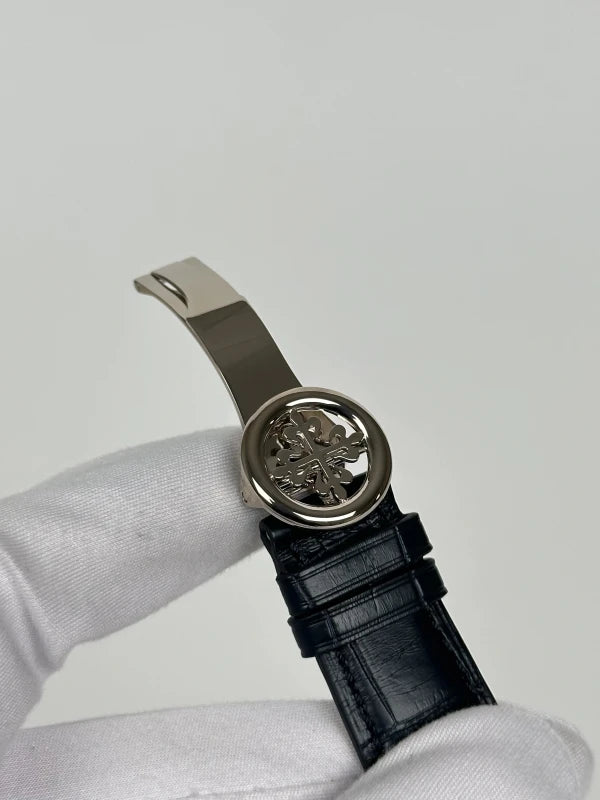 Patek Philippe Grand Complications Celestial Platinum Men's Watch